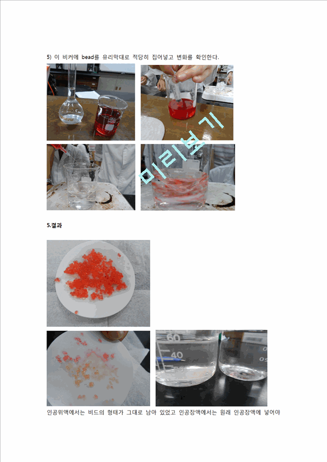 [자연과학][제제실험] 알지네이트 비드[Alginate bead] 결과   (4 페이지)